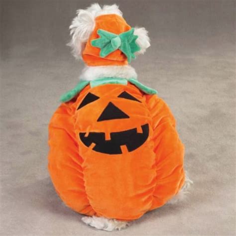 Zack & Zoey Pumpkin Pooch Dog Costume, Small, Orange, 1 - Kroger