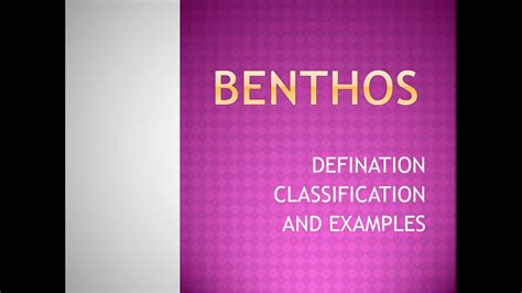 BENTHIC ORGANISMS :- DEFINITION, CLASSIFICATION - YouTube