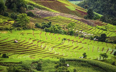 3d/2n Authentic Hill tribe - Doi Inthanon & Rice Terraces Tour - Thailand Hilltribe Holidays