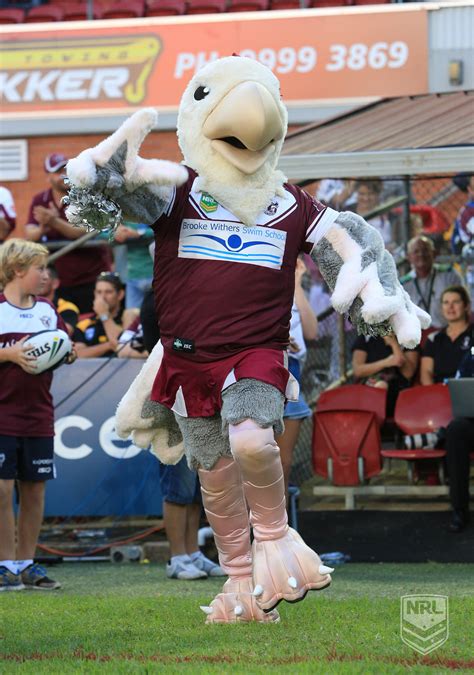 Manly Sea Eagles Mascot - forteddiandchris