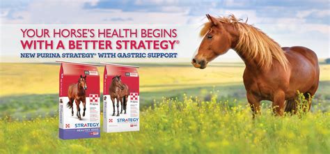 Purina Strategy Horse Feeds Product Updates :: North Fulton Feed & Seed