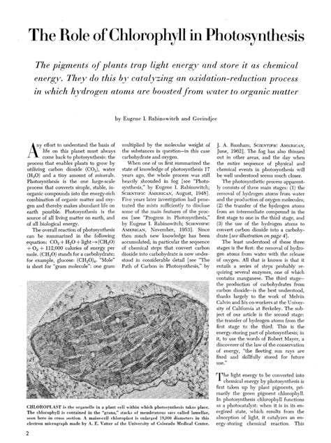 (PDF) The Role of Chlorophyll in Photosynthesis