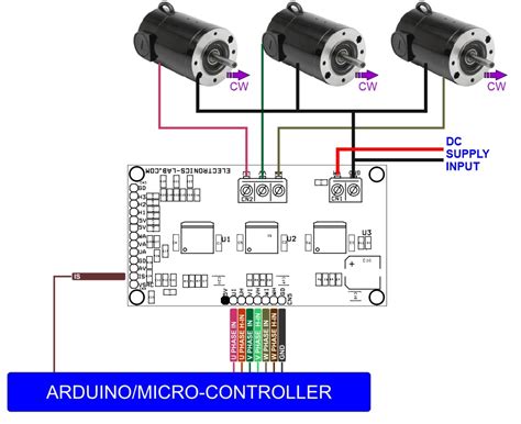 3 X BRUSHED DC MOTOR CONNECTIONS - Electronics-Lab.com