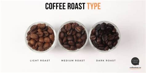 10 Best Light Roast Coffee Beans Reviewed 2022! Buyer's Guide