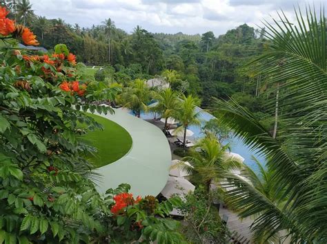 Family Treat at The Westin Resort & Spa Ubud - Latest News Bali