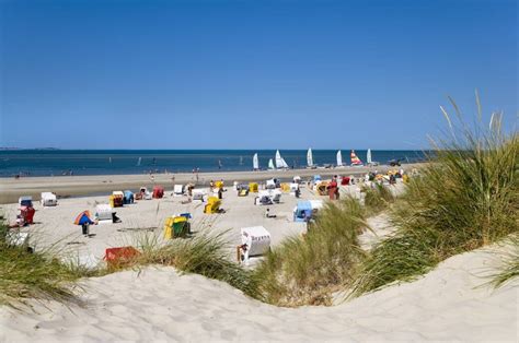 Urlaub auf Amrum: Die besten Tipps für die Nordsee-Insel