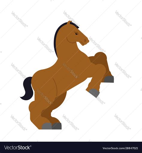 Clydesdale on hind legs strong heavy horse Vector Image