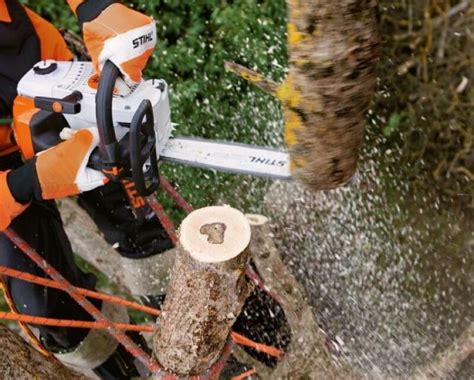 Stihl MS 201 TC-M Chainsaw - OPE Reviews