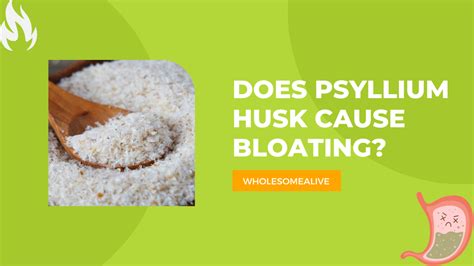 Does Psyllium Husk Cause Bloating? Best Definitive Guide