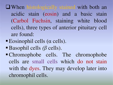 Endocrine Physiology. - ppt download