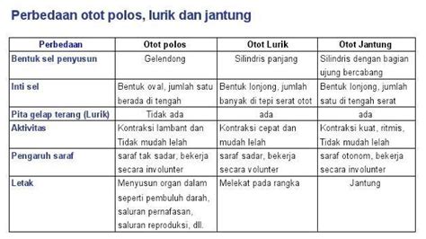 Buat table perbedaan otot polos, otot lurik dan otot jantung? - perbedaanantara.com