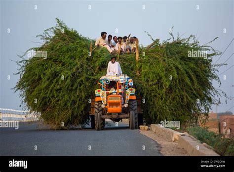 Punjab pakistan agriculture hi-res stock photography and images - Alamy