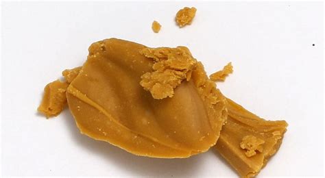 Cannabis Concentrates Guide: THC Oils, Hash, Wax, Shatter & Dabs