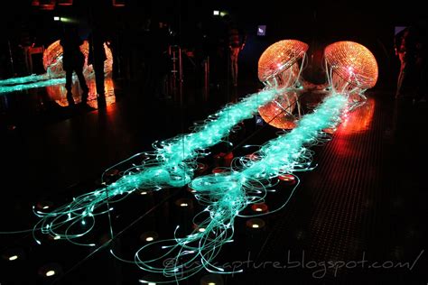 Just capture...: Reflection of light: giant jellyfish