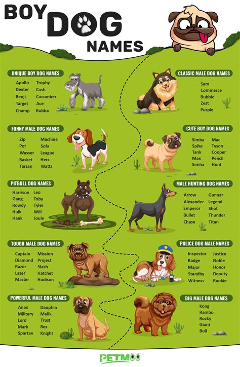 What Are Good Male Dog Names