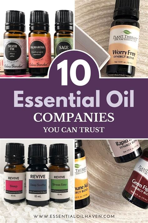 Top 10 Best Essential Oil Brands in 2024 – Reviewed & Compared ...