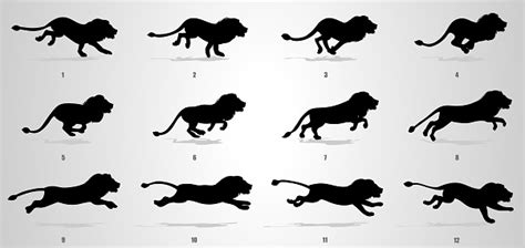 Lion Run Cycle Animation Sequence Stock Illustration - Download Image Now - iStock