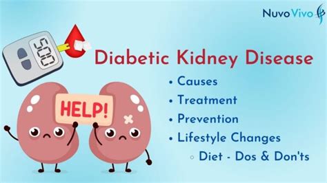 Diabetic Kidney Disease: Tips for Maintaining Healthy Kidneys ...