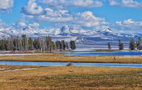 Exploring Hayden Valley in Spring - A Yellowstone Life