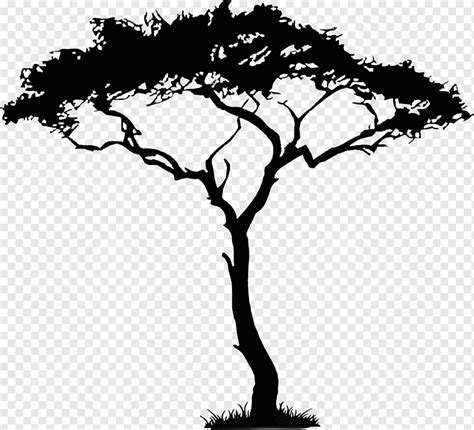 African Trees, walnut, leaf, branch, monochrome png | PNGWing