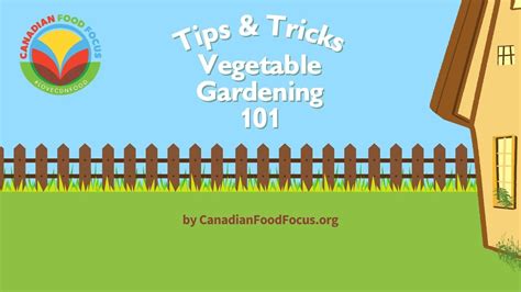 Vegetable Gardening 101 Tips and Tricks - GardenInBloom.com