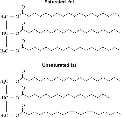 Download fats.png image from www.periodni.com | Best bodybuilding foods, Biochemistry, Dietary ...