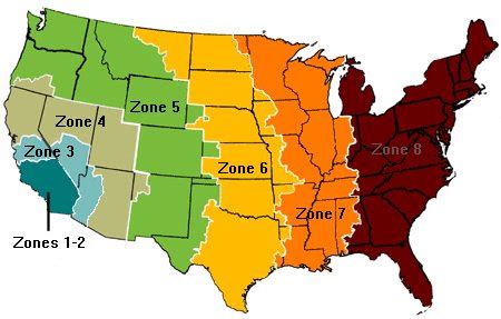 Map Of Us Postal Zones - When Is Fafsa Due For Fall 2024