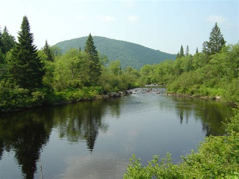 Nulhegan River landscape greenery image - Free stock photo - Public Domain photo - CC0 Images