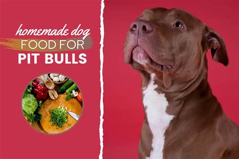 Homemade Dog Food For Pit Bulls Guide: Nutrition, Recipes & More ...