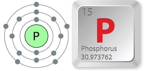 Facts About Phosphorus | Phosphorus, Facts, Body fluid