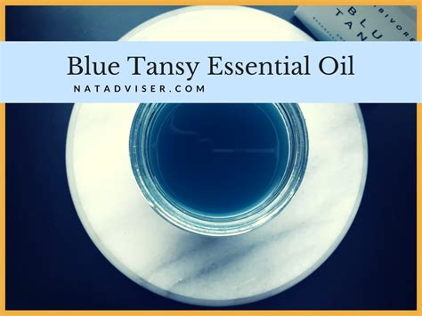 Blue Tansy Essential Oil: What You Have To Know About Tanacetum