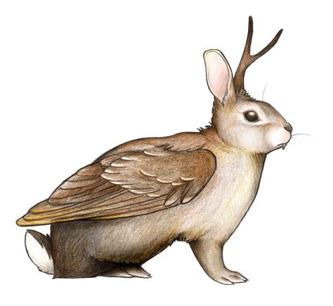 Wolpertinger | Mythical creatures, Mythical creatures art, Creature art