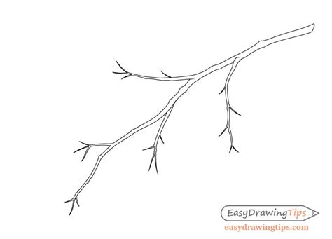 How to Draw a Tree Branch With Leaves - EasyDrawingTips | Tree branch tattoo, Branch drawing ...