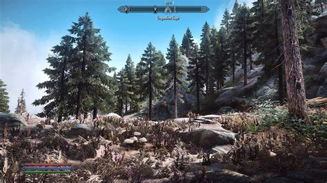 Cabbage enb is stunning! : r/SkyrimPorn