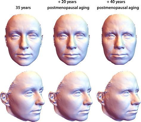 Average Male Face By Country