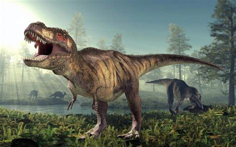 How many Tyrannosaurus rex lived on Earth? | Earth | EarthSky