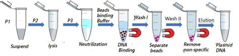 Plasmid DNA Extraction Kits - GeneNano