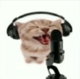 SingingCatMemes