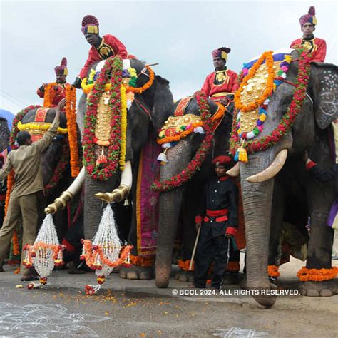 Dasara elephants arrive in Mysore - Photogallery