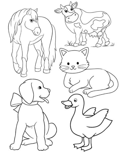 Domestic Animals Coloring Page