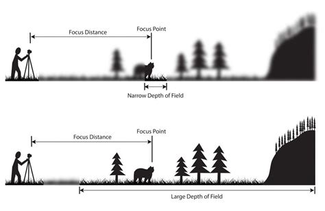 4 Factors of Depth of Field That You Should Know About