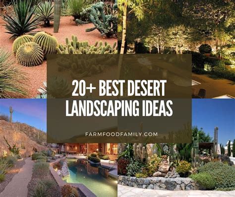 21+ Cheap Desert Backyard Landscaping Ideas - Drought Tolerant Gardens