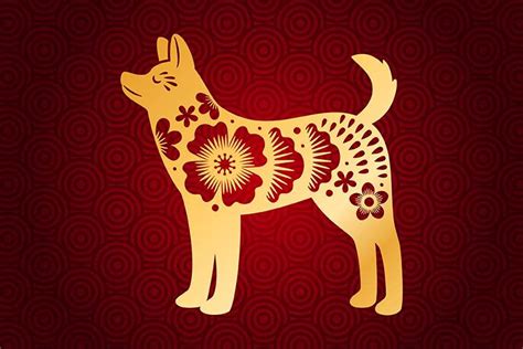 Dog Astrology I Chinese Zodiac Dog And Its Personality - MyPandit