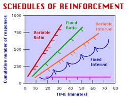 Schedules of Reinforcement - Fitting the Puzzle