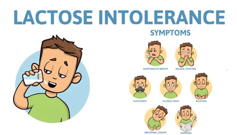 Why Is Lactose Used As An Inactive Ingredient In Drugs?