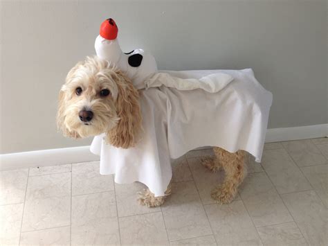 Zero Dog Halloween Costume - The DIY Handy Mom