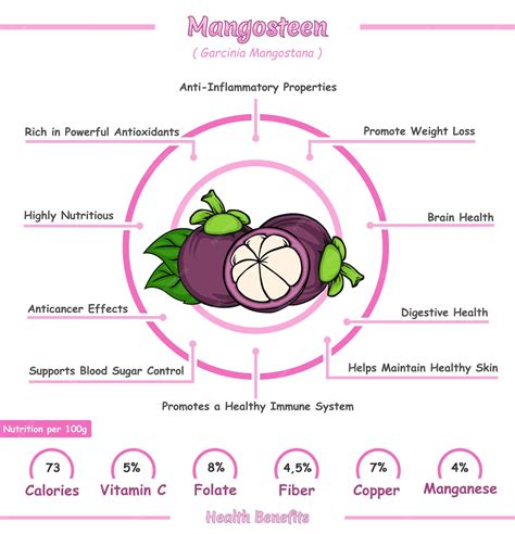 Premium Vector | Health benefits of mangosteen