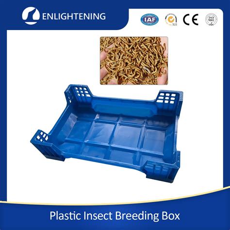 Customized Size 600X400X145mm Blue PP Four Corners Bsf (black soldier fly) Mealworm Stackable ...