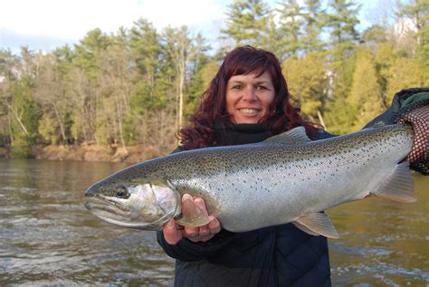 Michigan Steelhead Fishing | Muskegon River Steelhead Guides | Great ...