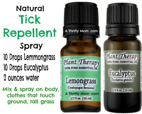 Natural Tick Repellent Spray - A Thrifty Mom - Recipes, Crafts, DIY and more